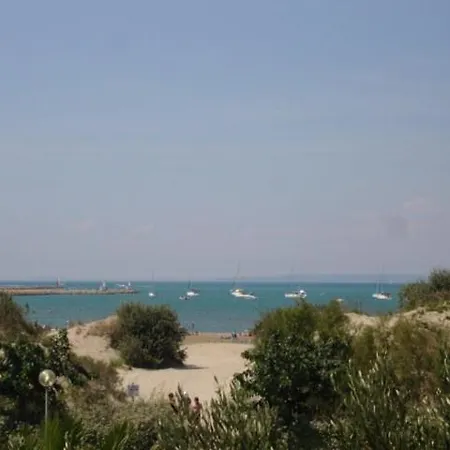 As21558- Dans De Standing Direct Sur Sud Le Grau-du-Roi